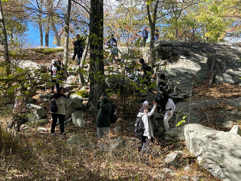 252b2a9b-4d30-4de5-a16e-d645467995b3