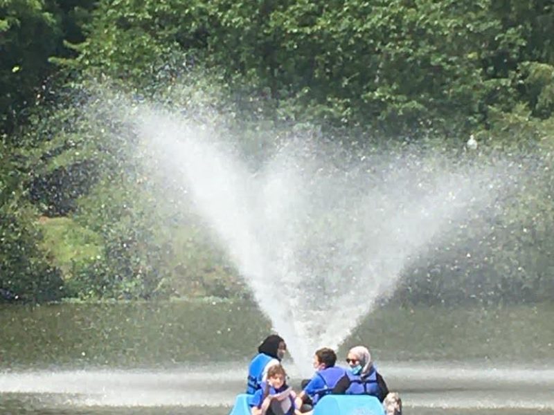 356e1858-7cb5-4b36-af03-edcf4ae82a2f