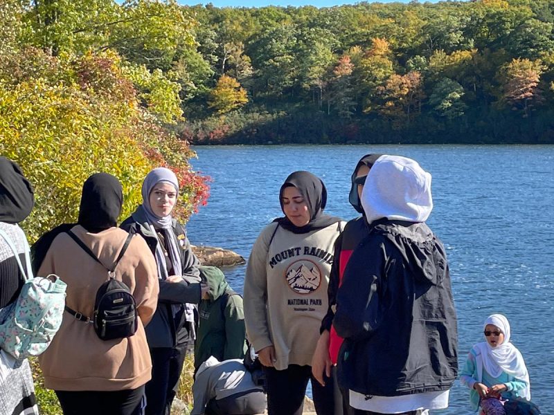 53404bf1-342a-49ec-9a74-0897385de2be