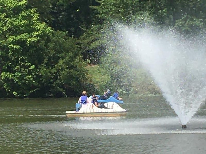 5e564619-e703-497d-ab6a-a510694ea936