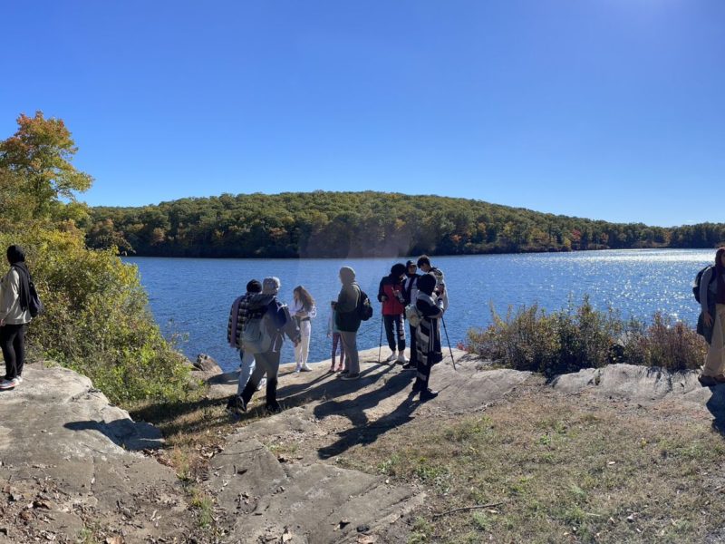 6bafb0a2-6cdb-4e4f-a728-7046dd7196fa