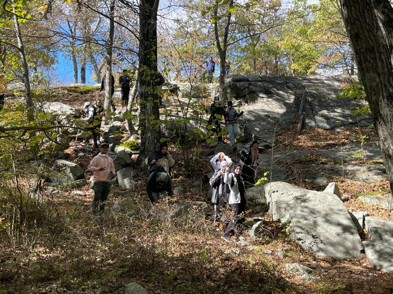 6bb6633c-423c-4cb6-986d-4a43c6378628