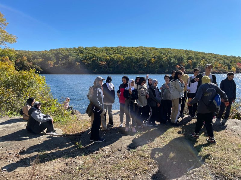 6dc5f45b-224e-4ef7-b252-cb06d298d6cc