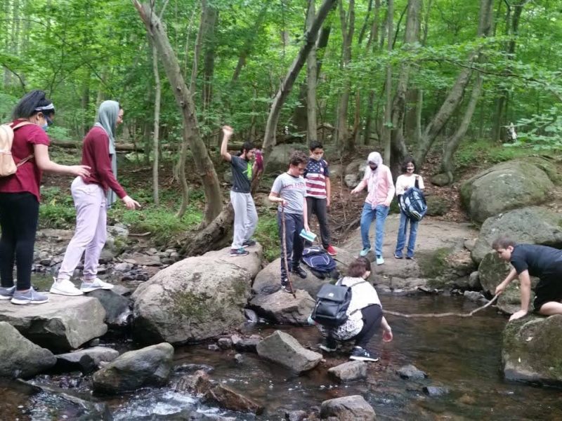 7e8a7394-c8e1-4948-9238-2722c8e8dd72