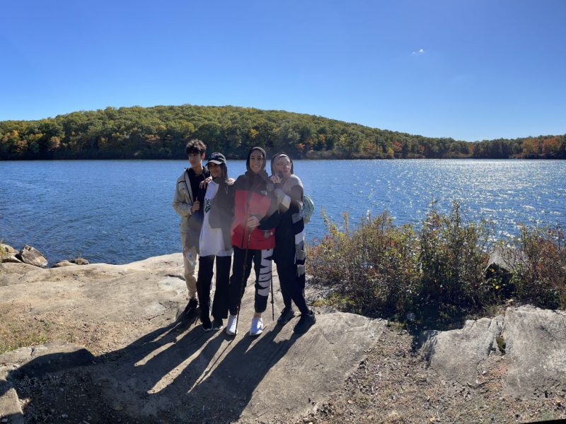 8d1bbac0-e9af-486d-85a3-b60d6be29f1d