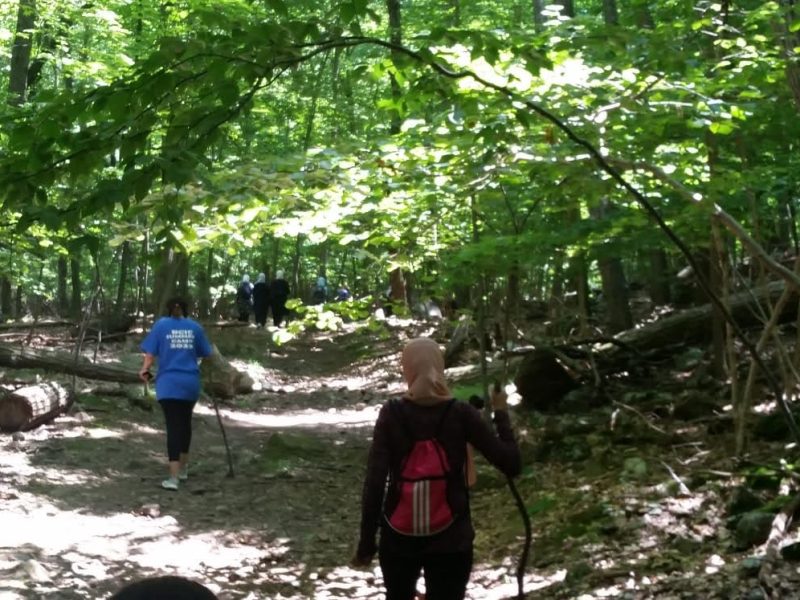 caa363b1-be6a-4a35-b374-e33f106f1d7f