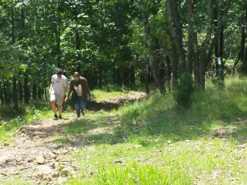 fc8f8f63-1c30-4e35-937f-3be8f9f41fc3